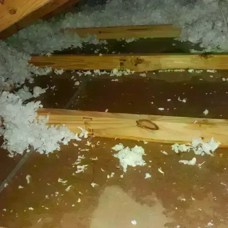 Attic Water Damage in Lakewood, WA