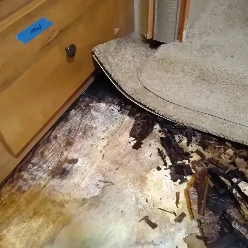 Wood Floor Water Damage in Lakewood, WA